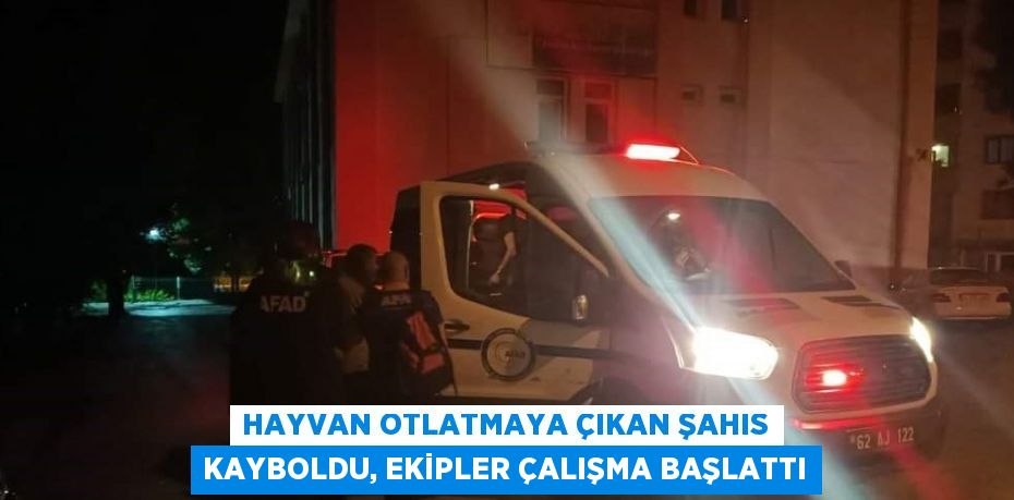 HAYVAN OTLATMAYA ÇIKAN ŞAHIS KAYBOLDU, EKİPLER ÇALIŞMA BAŞLATTI