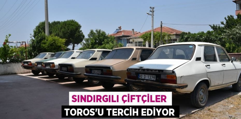 Sındırgılı çiftçiler Toros’u tercih ediyor