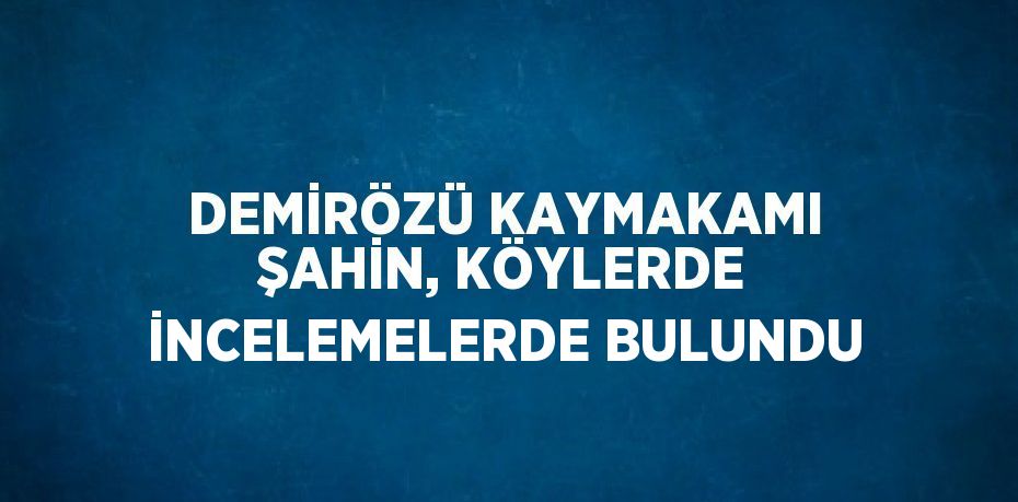 DEMİRÖZÜ KAYMAKAMI ŞAHİN, KÖYLERDE İNCELEMELERDE BULUNDU