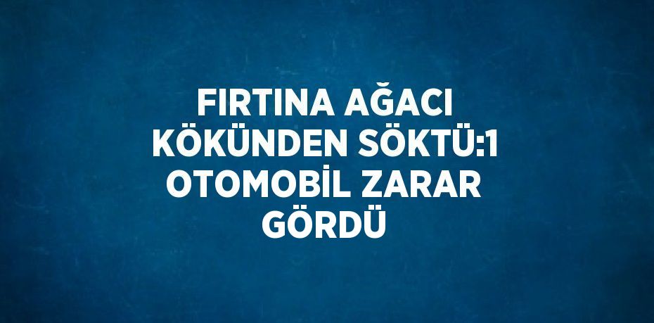 FIRTINA AĞACI KÖKÜNDEN SÖKTÜ:1 OTOMOBİL ZARAR GÖRDÜ