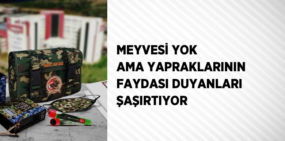 MEYVESİ YOK AMA YAPRAKLARININ FAYDASI DUYANLARI ŞAŞIRTIYOR