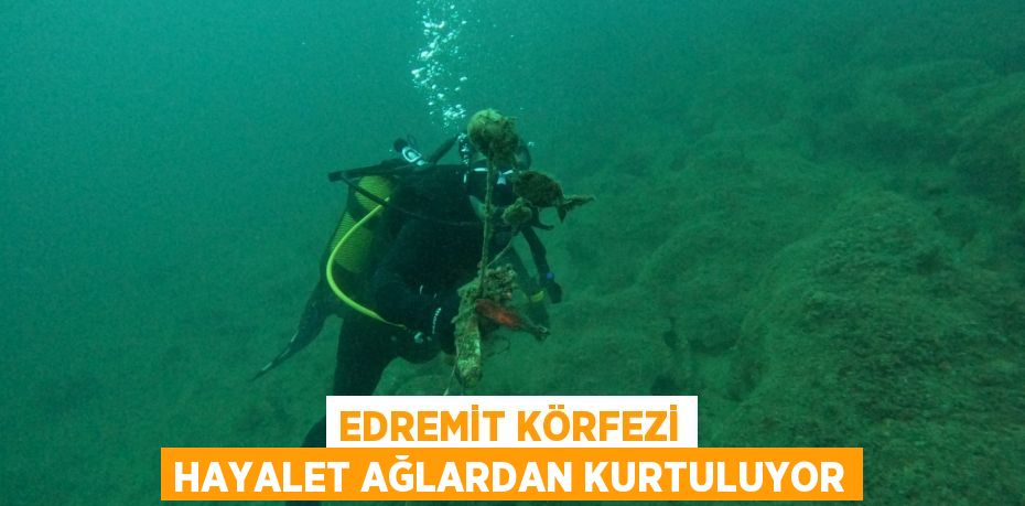 Edremit Körfezi hayalet ağlardan kurtuluyor