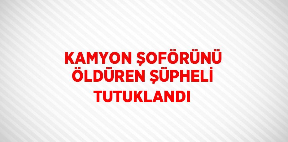 KAMYON ŞOFÖRÜNÜ ÖLDÜREN ŞÜPHELİ TUTUKLANDI