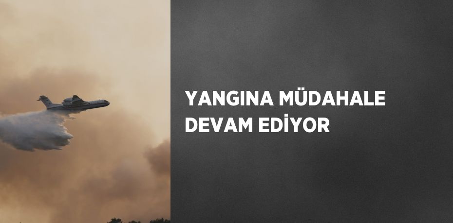 YANGINA MÜDAHALE DEVAM EDİYOR