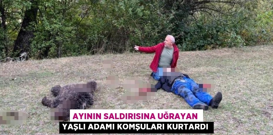 AYININ SALDIRISINA UĞRAYAN YAŞLI ADAMI KOMŞULARI KURTARDI