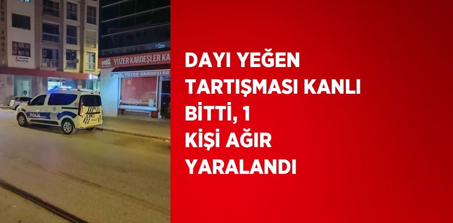 DAYI YEĞEN TARTIŞMASI KANLI BİTTİ, 1 KİŞİ AĞIR YARALANDI