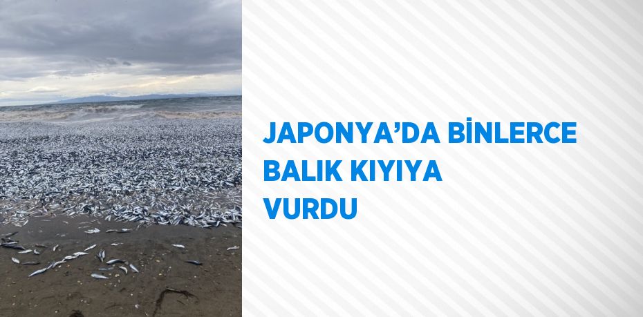 JAPONYA’DA BİNLERCE BALIK KIYIYA VURDU