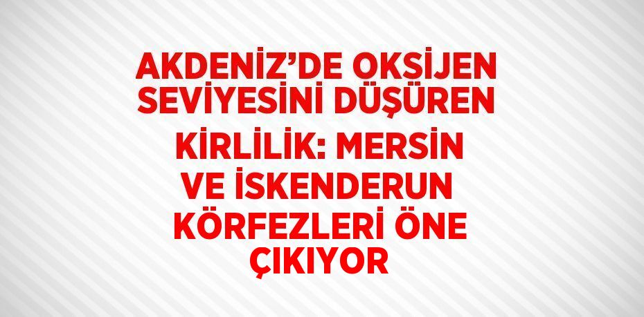 AKDENİZ’DE OKSİJEN SEVİYESİNİ DÜŞÜREN KİRLİLİK: MERSİN VE İSKENDERUN KÖRFEZLERİ ÖNE ÇIKIYOR