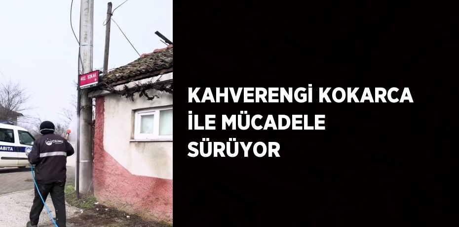 KAHVERENGİ KOKARCA İLE MÜCADELE SÜRÜYOR