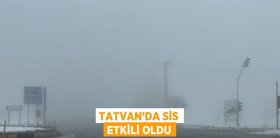 TATVAN’DA SİS ETKİLİ OLDU