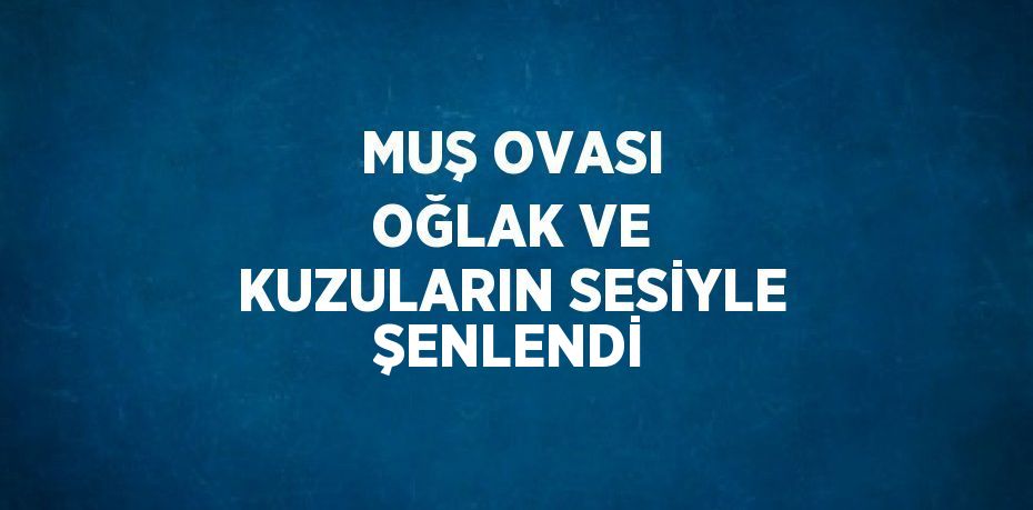 MUŞ OVASI OĞLAK VE KUZULARIN SESİYLE ŞENLENDİ