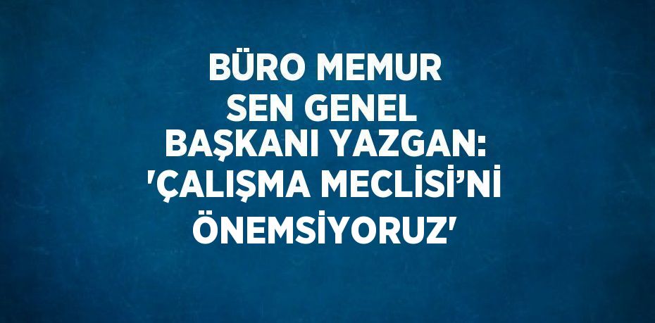 BÜRO MEMUR SEN GENEL BAŞKANI YAZGAN: 'ÇALIŞMA MECLİSİ’Nİ ÖNEMSİYORUZ'