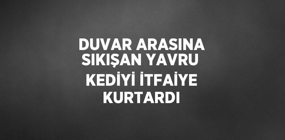 DUVAR ARASINA SIKIŞAN YAVRU KEDİYİ İTFAİYE KURTARDI