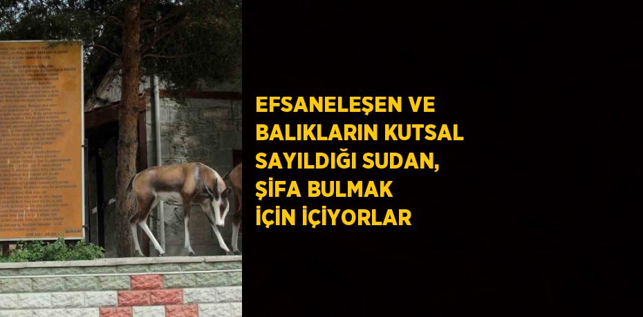 EFSANELEŞEN VE BALIKLARIN KUTSAL SAYILDIĞI SUDAN, ŞİFA BULMAK İÇİN İÇİYORLAR