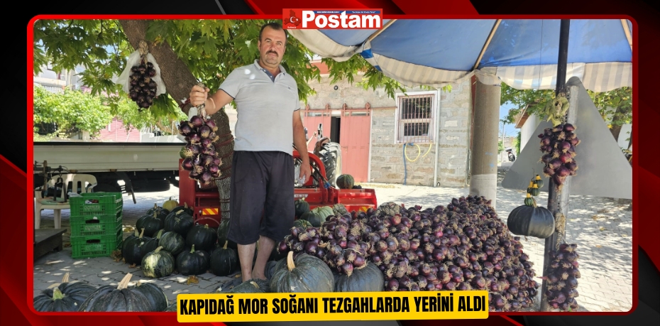 Kapıdağ mor soğanı tezgahlarda yerini aldı