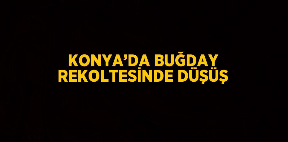 KONYA’DA BUĞDAY REKOLTESİNDE DÜŞÜŞ