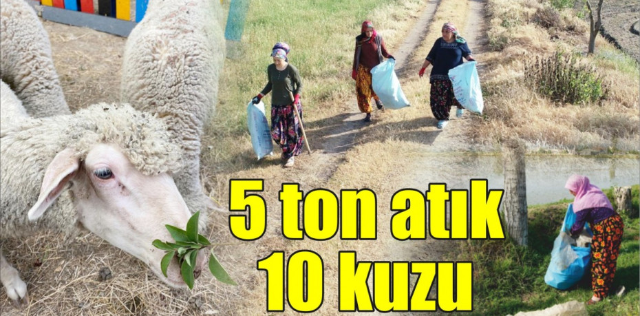 5 ton atık 10 kuzu