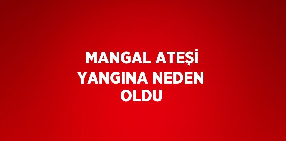 MANGAL ATEŞİ YANGINA NEDEN OLDU