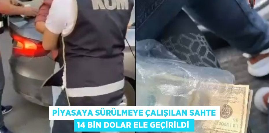 PİYASAYA SÜRÜLMEYE ÇALIŞILAN SAHTE 14 BİN DOLAR ELE GEÇİRİLDİ