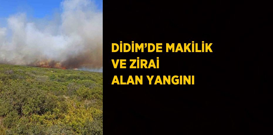 DİDİM’DE MAKİLİK VE ZİRAİ ALAN YANGINI