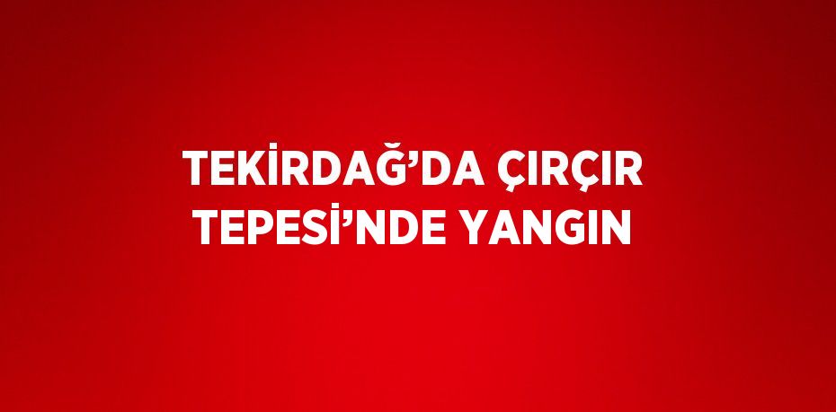 TEKİRDAĞ’DA ÇIRÇIR TEPESİ’NDE YANGIN