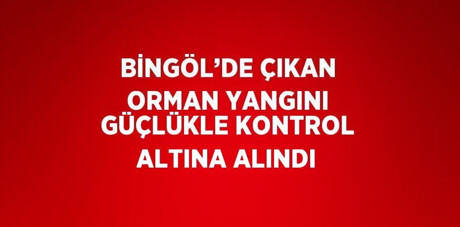 BİNGÖL’DE ÇIKAN ORMAN YANGINI GÜÇLÜKLE KONTROL ALTINA ALINDI