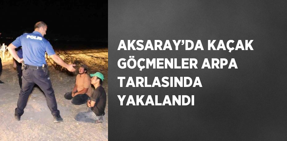 AKSARAY’DA KAÇAK GÖÇMENLER ARPA TARLASINDA YAKALANDI