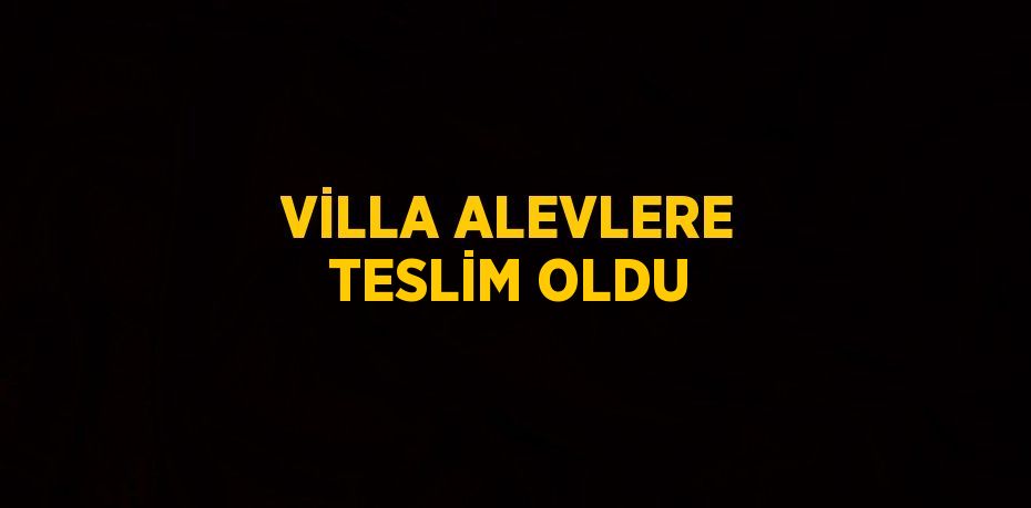 VİLLA ALEVLERE TESLİM OLDU