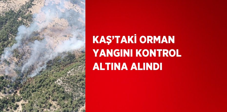 KAŞ’TAKİ ORMAN YANGINI KONTROL ALTINA ALINDI