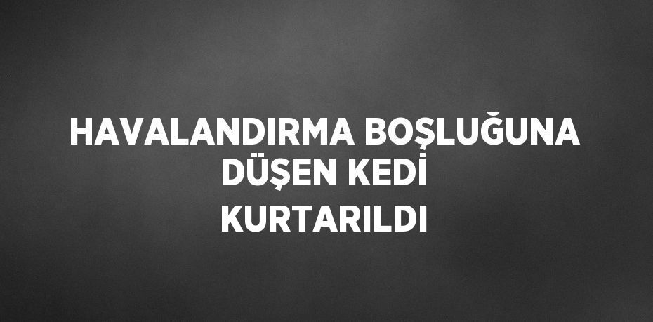 HAVALANDIRMA BOŞLUĞUNA DÜŞEN KEDİ KURTARILDI