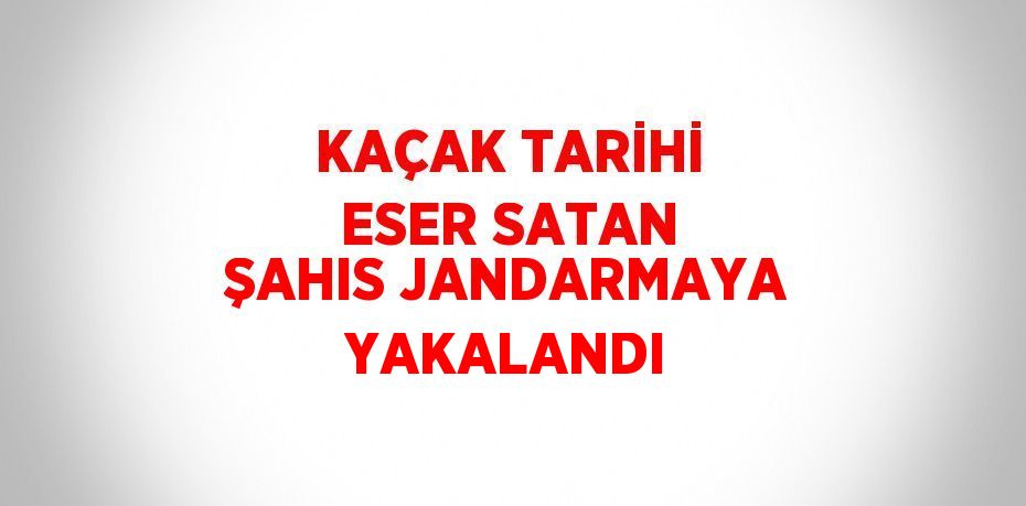 KAÇAK TARİHİ ESER SATAN ŞAHIS JANDARMAYA YAKALANDI