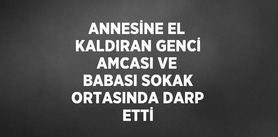 ANNESİNE EL KALDIRAN GENCİ AMCASI VE BABASI SOKAK ORTASINDA DARP ETTİ