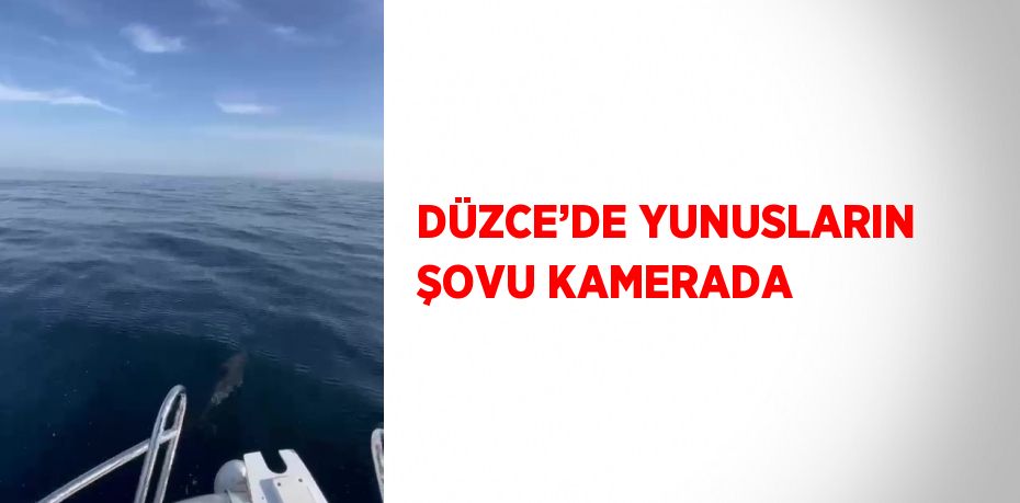 DÜZCE’DE YUNUSLARIN ŞOVU KAMERADA