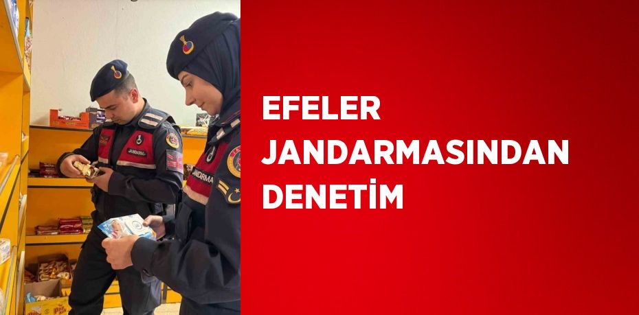 EFELER JANDARMASINDAN DENETİM