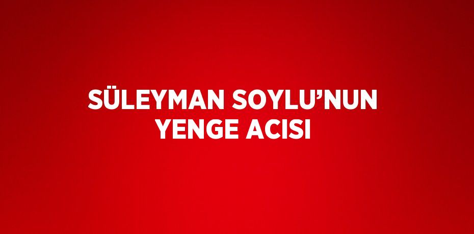 SÜLEYMAN SOYLU’NUN YENGE ACISI