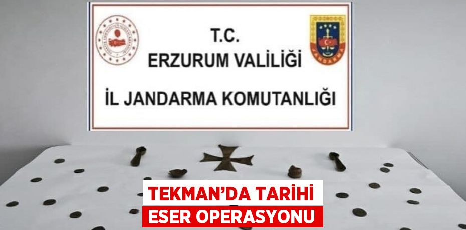 TEKMAN’DA TARİHİ ESER OPERASYONU