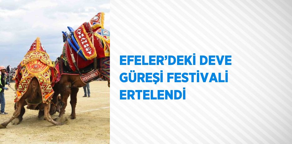 EFELER’DEKİ DEVE GÜREŞİ FESTİVALİ ERTELENDİ