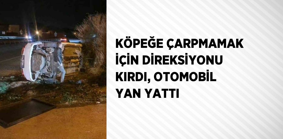 KÖPEĞE ÇARPMAMAK İÇİN DİREKSİYONU KIRDI, OTOMOBİL YAN YATTI