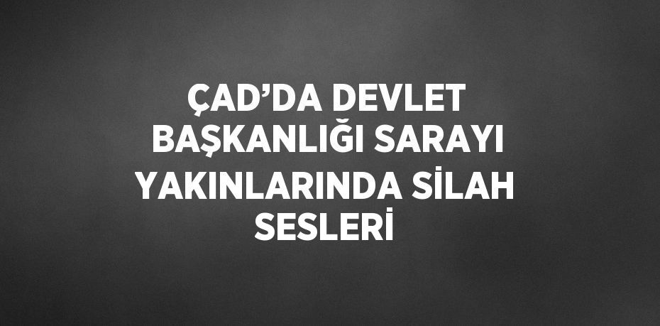 ÇAD’DA DEVLET BAŞKANLIĞI SARAYI YAKINLARINDA SİLAH SESLERİ