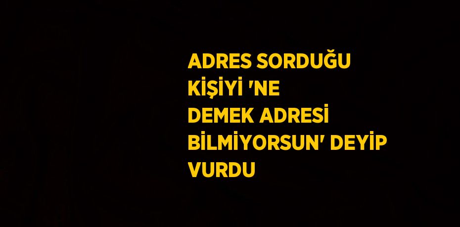 ADRES SORDUĞU KİŞİYİ 'NE DEMEK ADRESİ BİLMİYORSUN' DEYİP VURDU