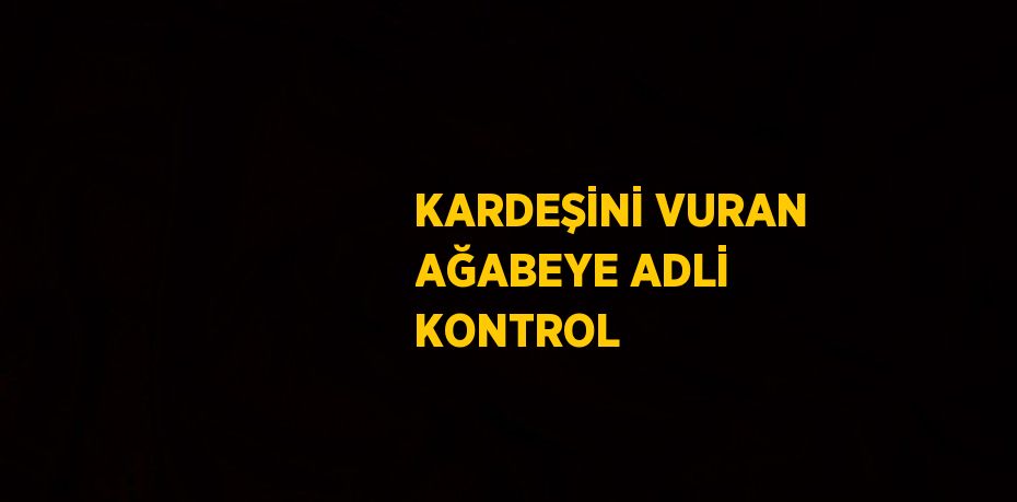 KARDEŞİNİ VURAN AĞABEYE ADLİ KONTROL