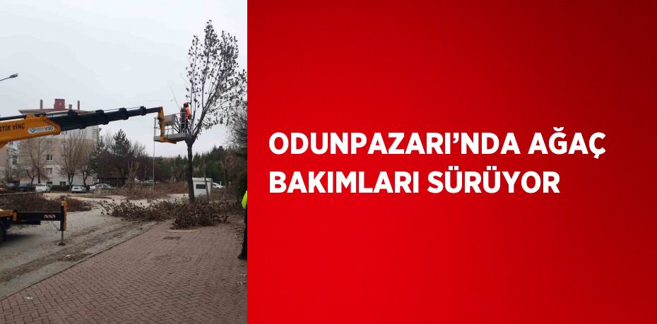 ODUNPAZARI’NDA AĞAÇ BAKIMLARI SÜRÜYOR