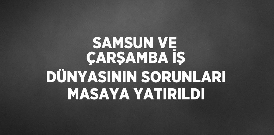 SAMSUN VE ÇARŞAMBA İŞ DÜNYASININ SORUNLARI MASAYA YATIRILDI