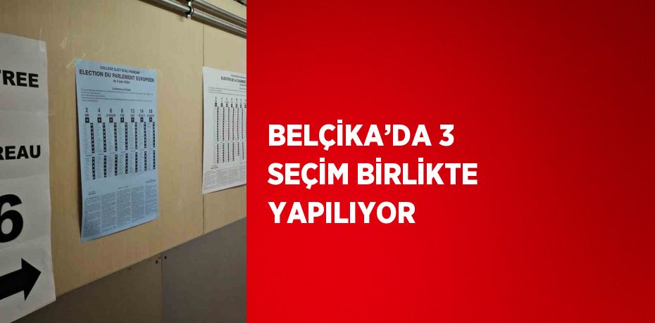 BELÇİKA’DA 3 SEÇİM BİRLİKTE YAPILIYOR