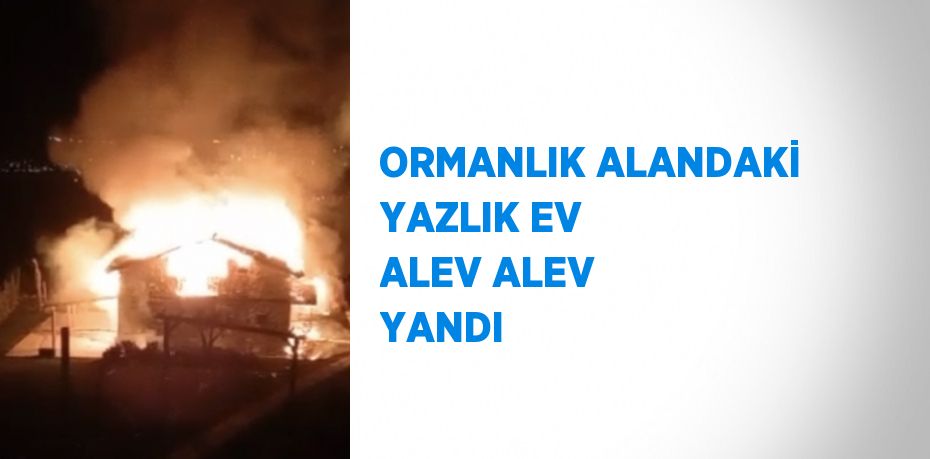 ORMANLIK ALANDAKİ YAZLIK EV ALEV ALEV YANDI