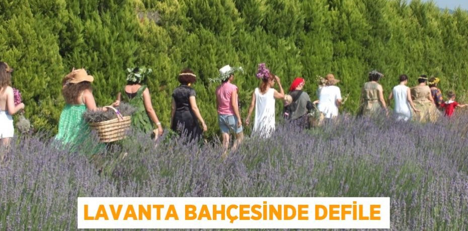 Lavanta bahçesinde defile