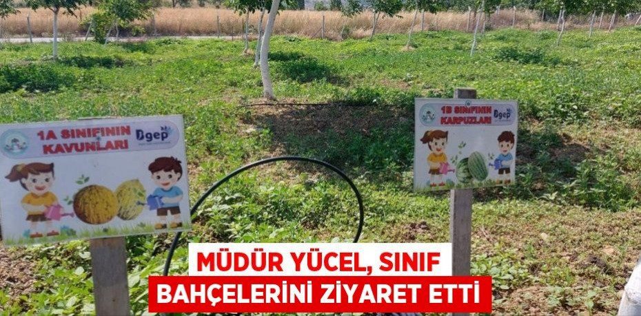 Müdür Yücel, sınıf bahçelerini ziyaret etti