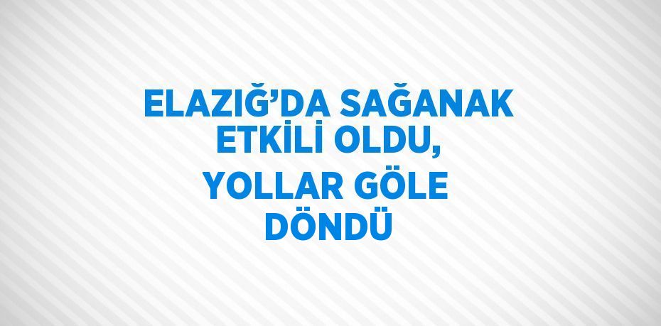 ELAZIĞ’DA SAĞANAK ETKİLİ OLDU, YOLLAR GÖLE DÖNDÜ