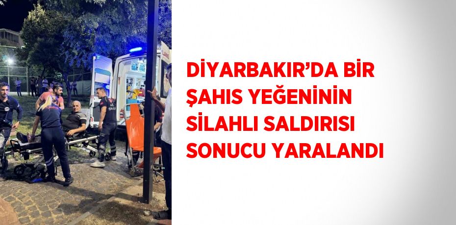 DİYARBAKIR’DA BİR ŞAHIS YEĞENİNİN SİLAHLI SALDIRISI SONUCU YARALANDI