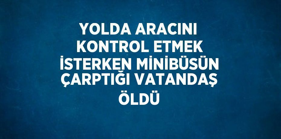 YOLDA ARACINI KONTROL ETMEK İSTERKEN MİNİBÜSÜN ÇARPTIĞI VATANDAŞ ÖLDÜ